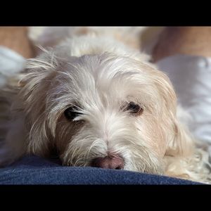 Meet your Posher, Lorena